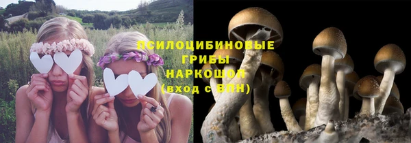 скорость Абаза