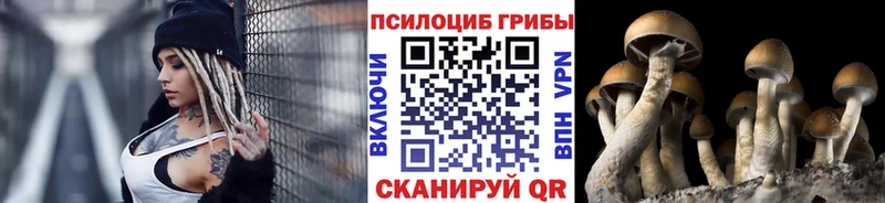 KRAKEN онион  наркошоп  Сим  Псилоцибиновые грибы прущие грибы 